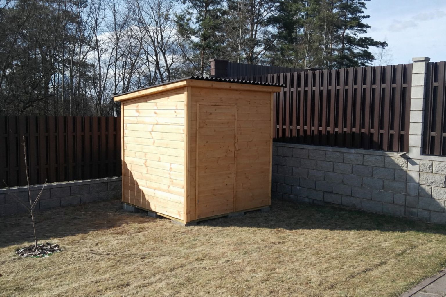 WhatsApp Image 2026-02-02 at 00.10.54